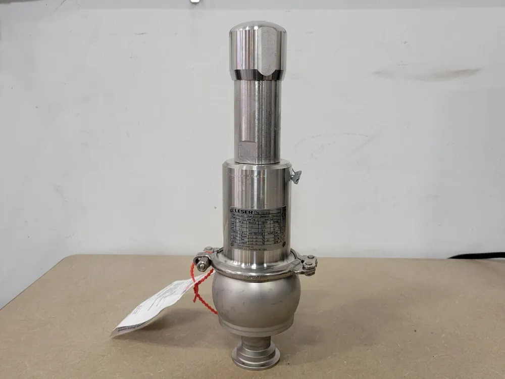 Safety Valve Clean Service Type 4884.8844