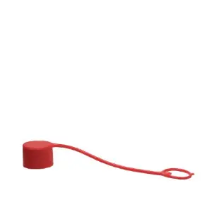 FF SOCKET DUST CAP 1