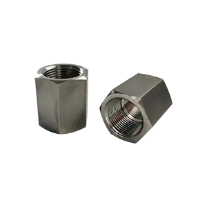 1" Female NPT x 1" Female NPT, 316 SS