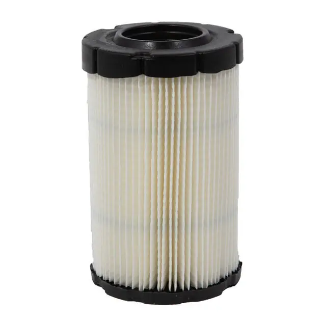 MTD - BS-594201 - Briggs and Stratton Part Number 594201. Air Filter