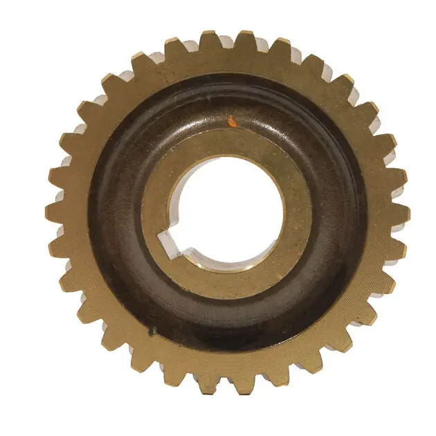MTD - 1901976 - Worm Gear
