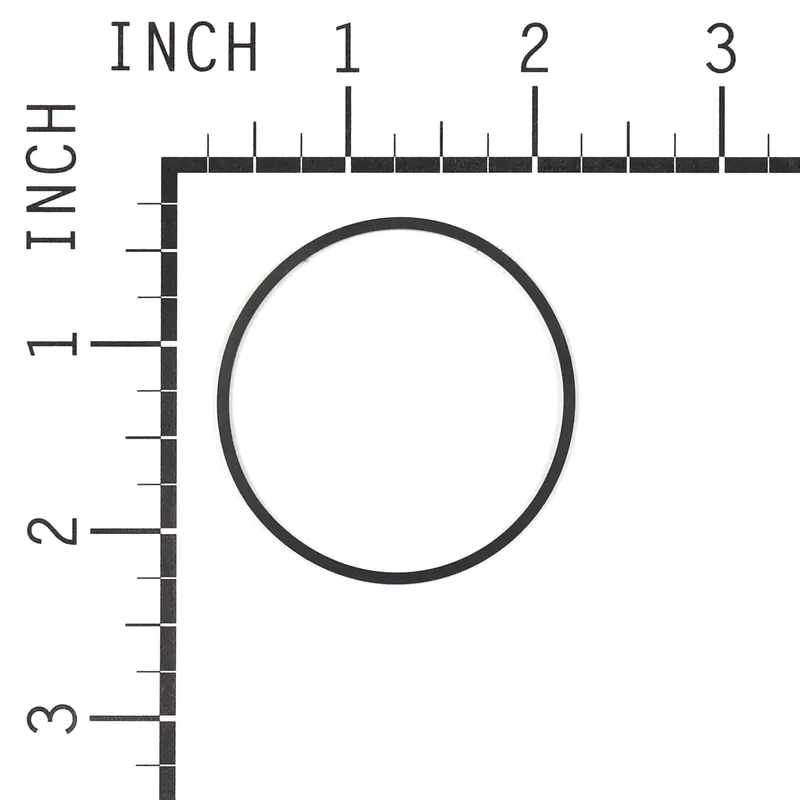 Briggs & Stratton - 698538 - GASKET-FLOAT BOWL