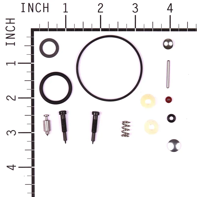 Briggs & Stratton - 494349 - KIT-CARB OVERHAUL