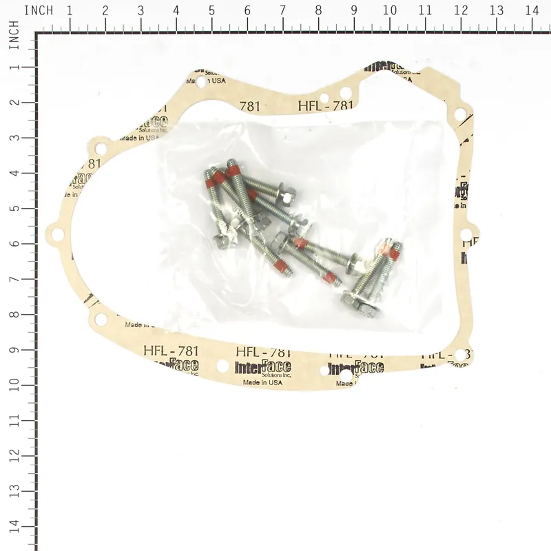 Briggs & Stratton - 594195 - Crankcase Gasket Kit