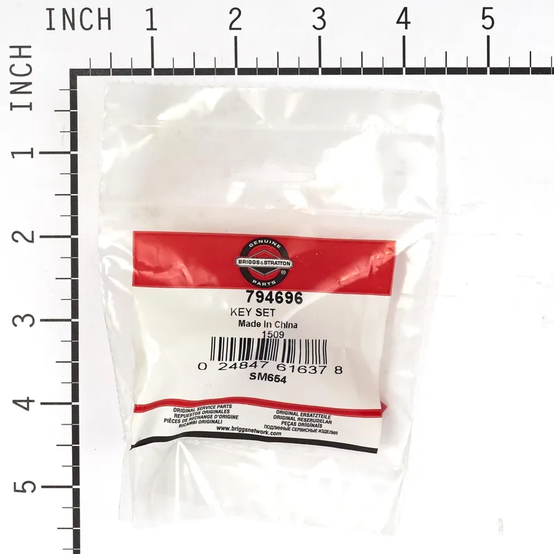Briggs & Stratton - 794696 - Ignition Key