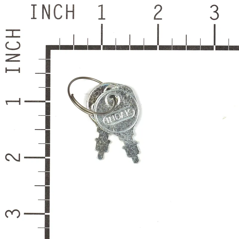 Briggs & Stratton - 20729MA - KEYS & RING