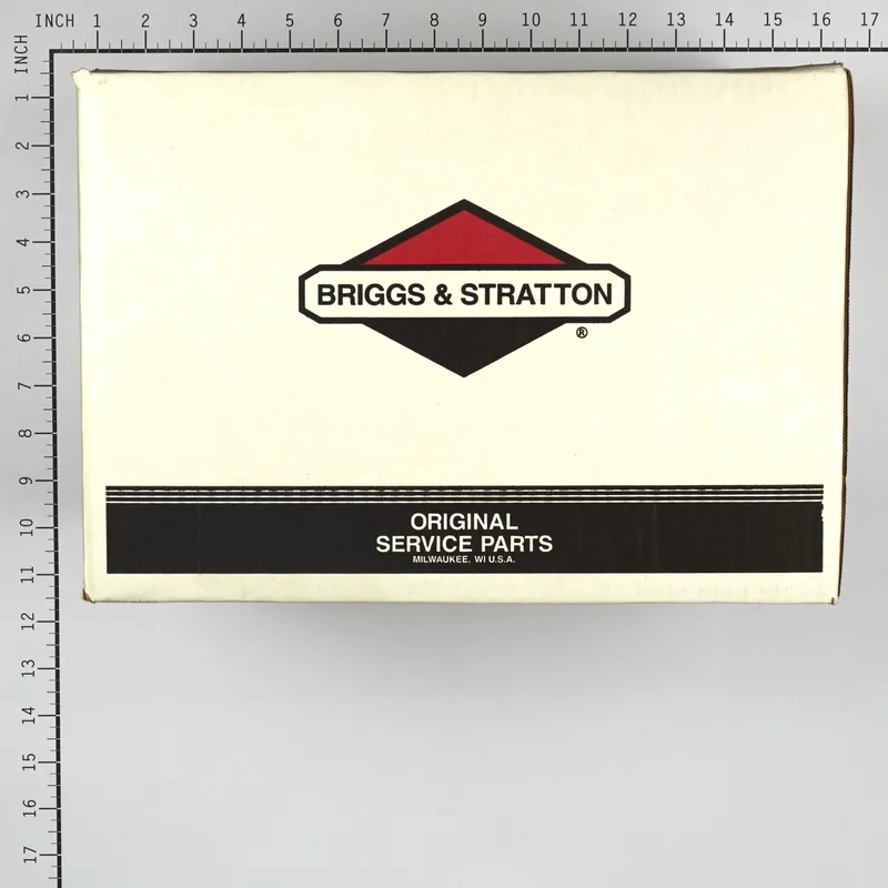 Briggs & Stratton - 206376GS - PUMP