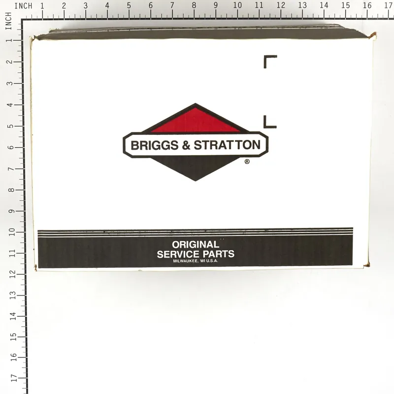 Briggs & Stratton - 317142GS - Pressure Washer Pump