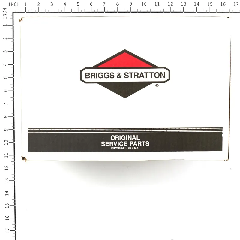 Briggs & Stratton - 311553GS - PUMP