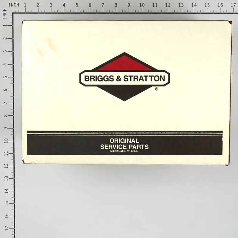 Briggs & Stratton - 317991GS - PUMP