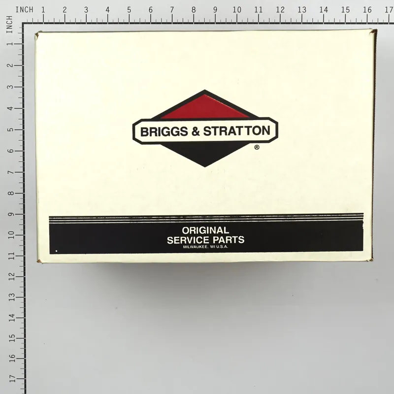 Briggs & Stratton - 311966GS - Pressure Washer Pump