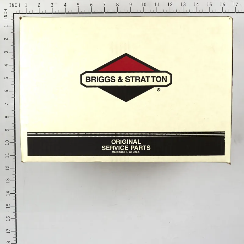 Briggs & Stratton - 311554GS - PUMP