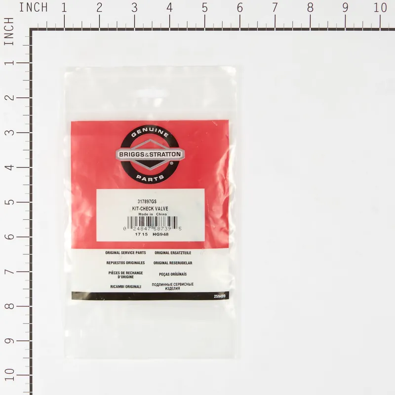 Briggs & Stratton - 317897GS - KIT-CHECK VALVE