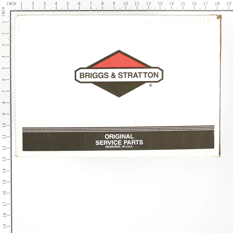 Briggs & Stratton - 317259GS - PUMP