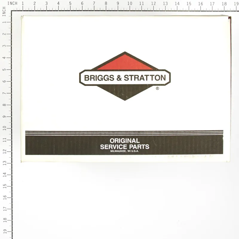 Briggs & Stratton - 317055GS - PUMP