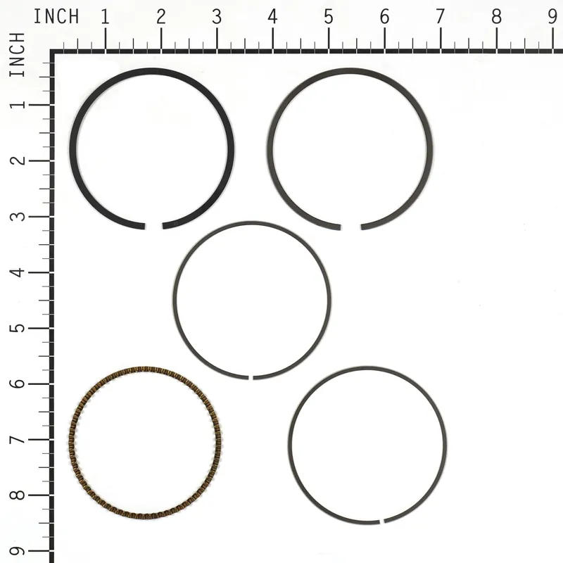 Briggs & Stratton - 843793 - RING SET